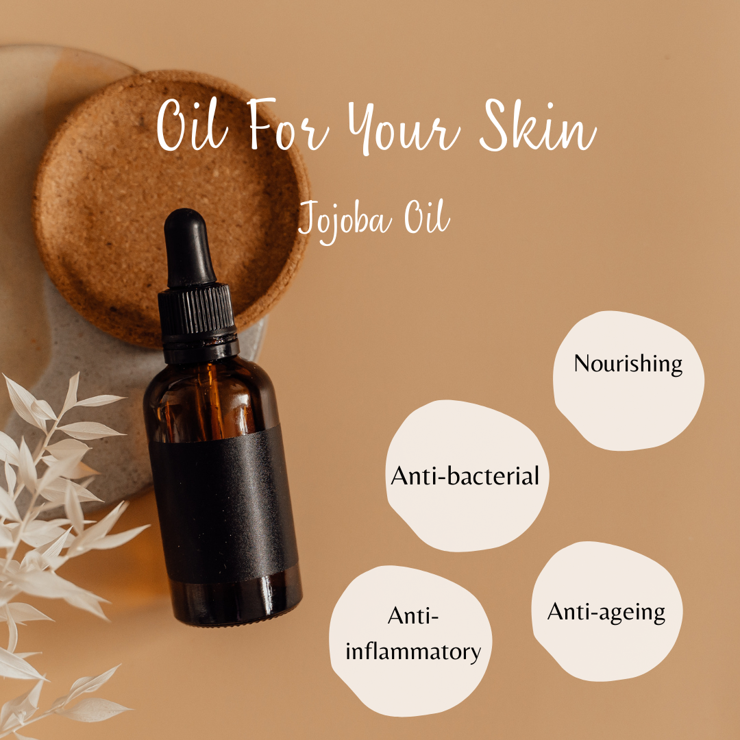 Jojoba Oil    – An Overview on How it Benefits the Skin