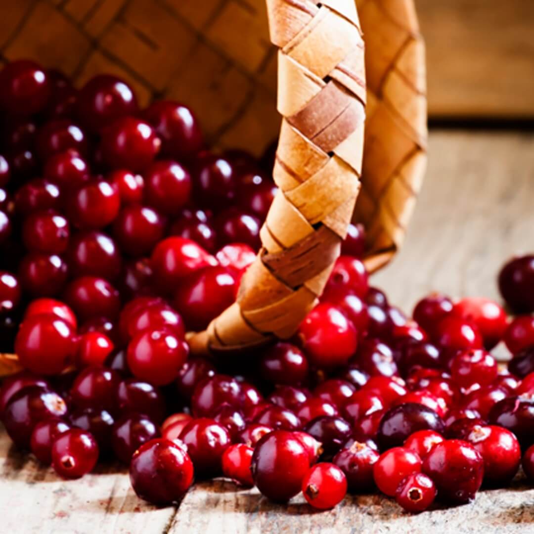 Cranberry Seed Oil