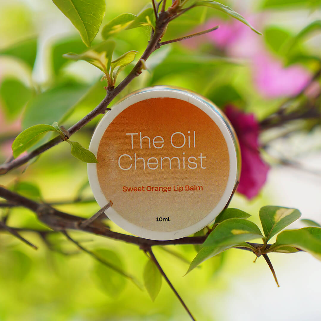 π Orange Lip Balm for Dry, Pigmented Lips (100% off)